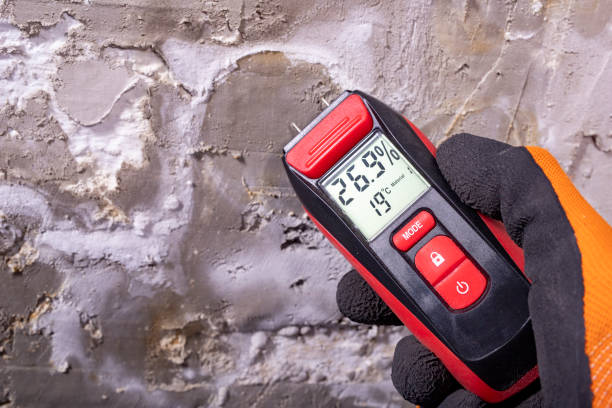 Best Mold Testing  in Lombard, IL